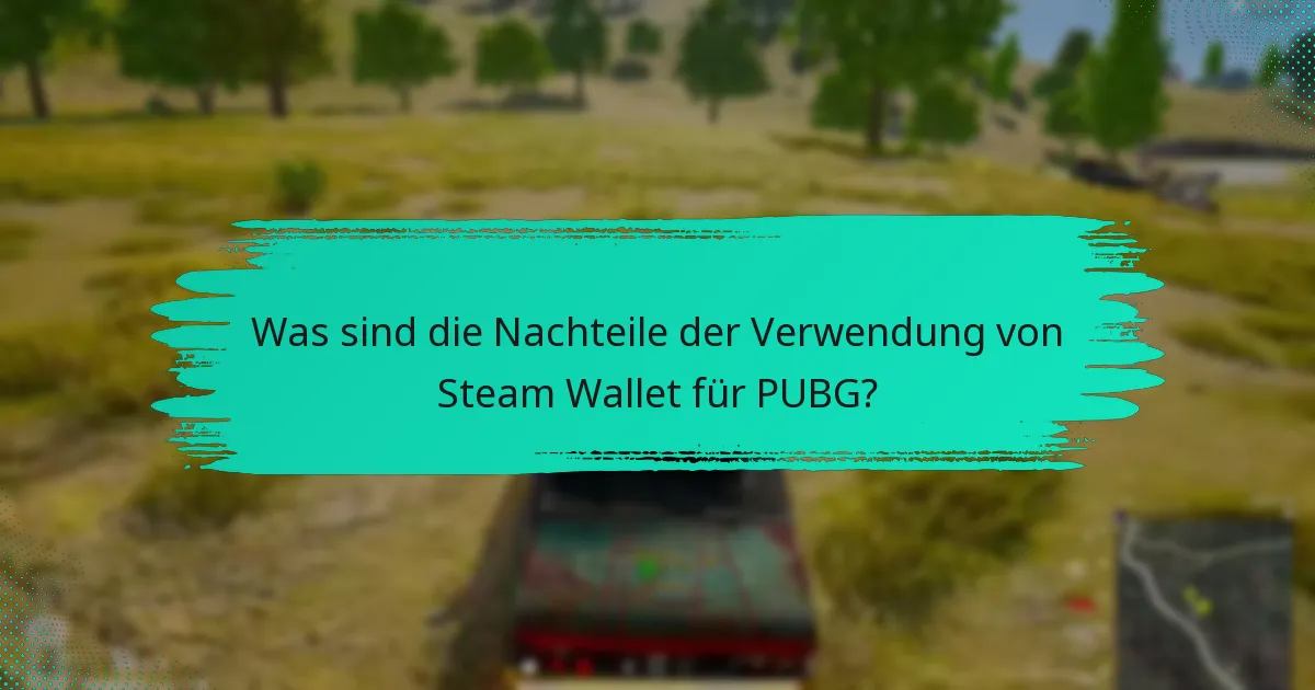 Wie schneidet Steam Wallet im Vergleich zu Kredit-/Debitkarten für PUBG ab?
