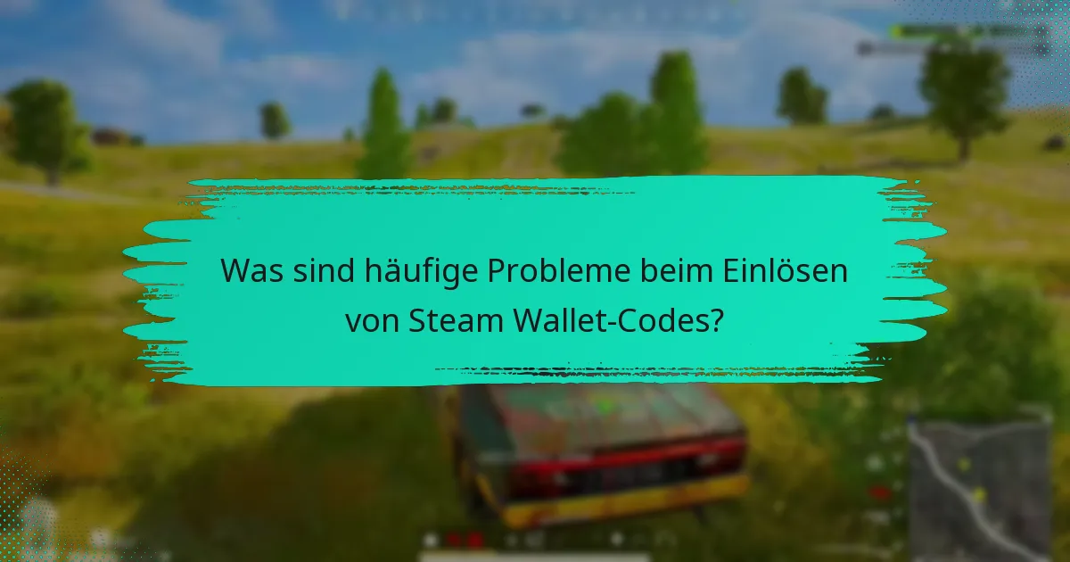 Welche regionalen Einschränkungen gelten für Steam Wallet-Codes?
